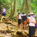 ശബരിമല മണ്ഡല പൂജ; എരുമേലി കാനനപാതയിലൂടെയുള്ള സഞ്ചാരസമയം ദീര്‍ഘിപ്പിച്ചു
