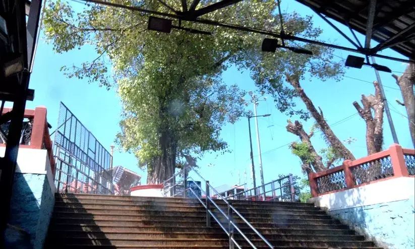 ശബരിമലയിൽ പതിനെട്ടാം പടിക്ക് താഴെ ആല്‍മരത്തിന് തീപിടിച്ചു