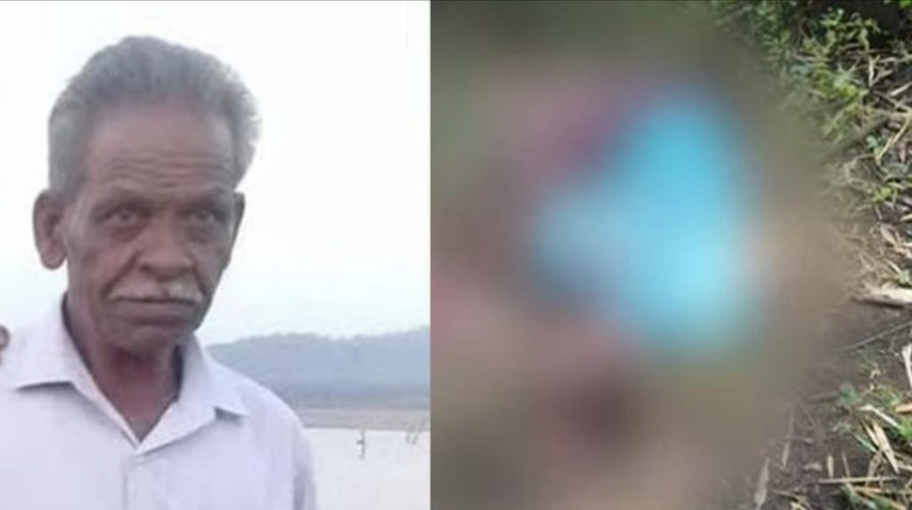 എരുമയെ തിരഞ്ഞ് കാട്ടിലെത്തി; കാട്ടാനയുടെ ആക്രമണത്തില് മലയാളി മരിച്ചു