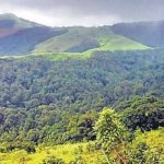 കസ്തൂരി രംഗൻ റിപ്പോർട്ട്‌ നടപ്പാക്കാനാകില്ല; കേന്ദ്രത്തെ അറിയിച്ച് കർണാടക