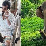 കാട്ടാനകളെ കാട് കയറ്റുന്നതിനിടെ വാച്ചര്‍ക്ക് പരുക്കേറ്റു