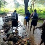 കാനനപാത വഴി സന്നിധാനത്തേക്ക് വരുന്നവർക്ക് പ്രത്യേക പാസ് നിർത്തലാക്കി