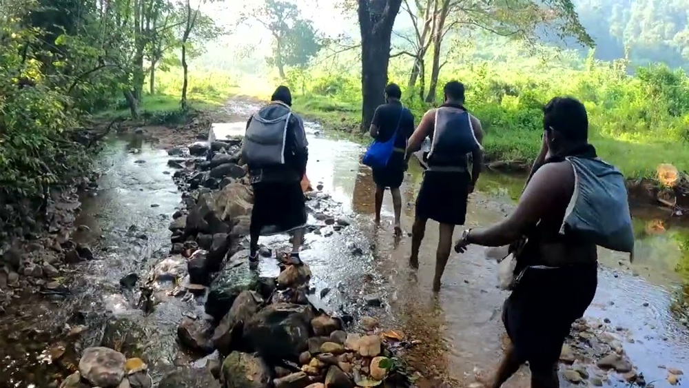 കാനനപാത വഴി സന്നിധാനത്തേക്ക് വരുന്നവർക്ക് പ്രത്യേക പാസ് നിർത്തലാക്കി