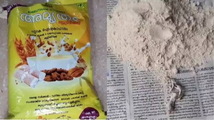 അങ്കണവാടിയില്‍ വിതരണം ചെയ്ത അമൃതം പൊടിയില്‍ ചത്ത പല്ലിയെ കണ്ടെത്തി