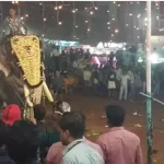 മലപ്പുറം പുതിയങ്ങാടി നേര്‍ച്ചയ്ക്കിടെ ആന ഇടഞ്ഞു; ഒരാളെ തൂക്കിയെറിഞ്ഞു, തിക്കിലും തിരക്കിലും നിരവധി പേർക്ക് പരുക്ക്