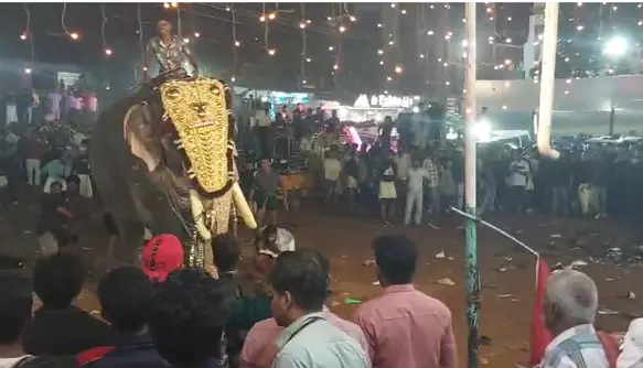 മലപ്പുറം പുതിയങ്ങാടി നേര്‍ച്ചയ്ക്കിടെ ആന ഇടഞ്ഞു; ഒരാളെ തൂക്കിയെറിഞ്ഞു, തിക്കിലും തിരക്കിലും നിരവധി പേർക്ക് പരുക്ക്