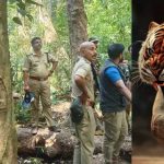 വയനാട്ടില്‍ ദൗത്യസംഘാംഗത്തിന് നേരെ കടുവയുടെ ആക്രമണം