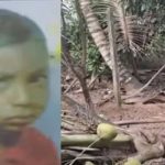 തെങ്ങ് കടപുഴകി ദേഹത്ത് വീണ് അഞ്ചുവയസുകാരന്‍ മരിച്ചു