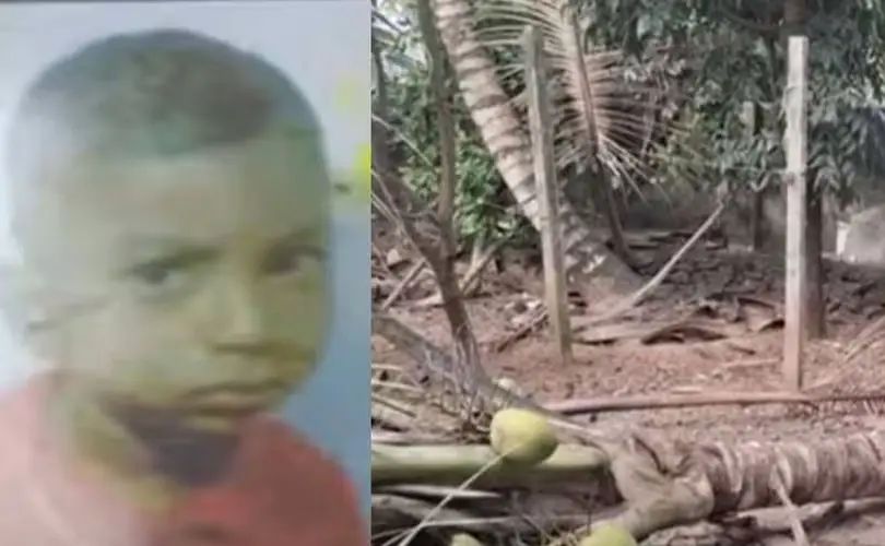 തെങ്ങ് കടപുഴകി ദേഹത്ത് വീണ് അഞ്ചുവയസുകാരന്‍ മരിച്ചു