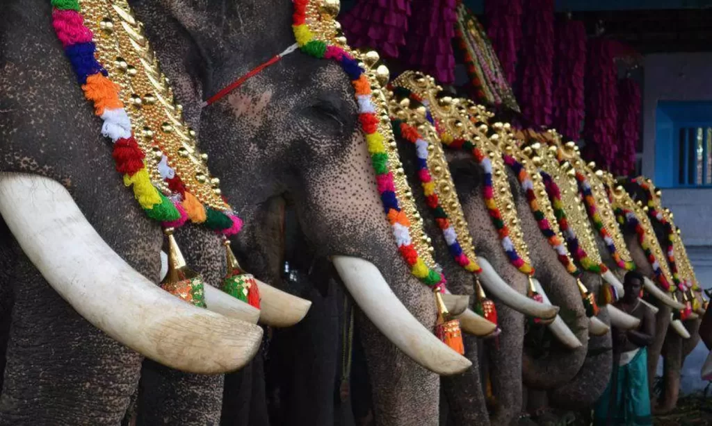 തൃശൂര് പൂരത്തിനിടെ ആന വിരണ്ടോടിയത് ലേസര് ആക്രമണം മൂലം; ആരോപണവുമായി പാറമേക്കാവ് ദേവസ്വം