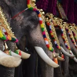 പൂരങ്ങളുടെ പൂരമായ തൃശൂർ പൂരം ഇന്ന്; വൈകിട്ട് 5.30ന് കുടമാറ്റം, വെടിക്കെട്ട് നാളെ പുലർച്ചെ 3ന്