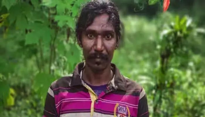 വീണ്ടും കാട്ടാന ആക്രമണം; ആദിവാസി യുവാവിന് ദാരുണാന്ത്യം