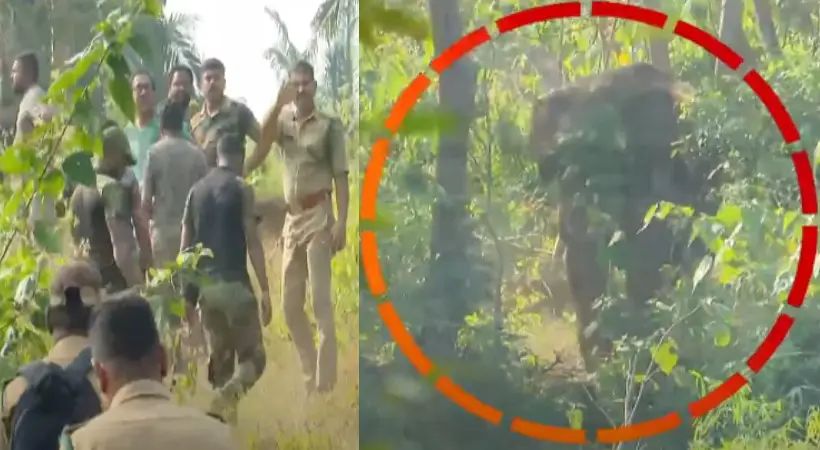 മസ്തകത്തില്‍ മുറിവേറ്റ കാട്ടാനയെ മയക്കുവെക്കാനുള്ള ദൗത്യം വ്യാഴാഴ്ചത്തേക്ക് മാറ്റി