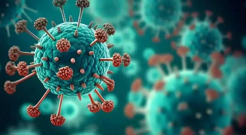 ബെംഗളൂരുവിന് പിന്നാലെ ഗുജറാത്തിലും എച്ച്‌എംപി വൈറസ് സ്ഥിരീകരിച്ചു