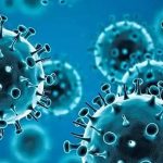 രാജ്യത്തെ രണ്ടാമത്തെ എച്ച്എംപിവി ബാധ സ്ഥിരീകരിച്ച് കേന്ദ്ര ആരോഗ്യ മന്ത്രാലയം; ബെംഗളൂരുവിൽ മൂന്ന് മാസം പ്രായമുള്ള കുഞ്ഞിന് രോഗബാധ