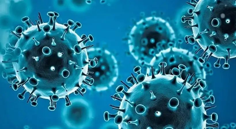 രാജ്യത്തെ രണ്ടാമത്തെ എച്ച്എംപിവി ബാധ സ്ഥിരീകരിച്ച് കേന്ദ്ര ആരോഗ്യ മന്ത്രാലയം; ബെംഗളൂരുവിൽ മൂന്ന് മാസം പ്രായമുള്ള കുഞ്ഞിന് രോഗബാധ