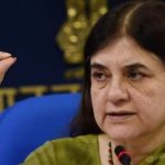 പഞ്ചാരക്കൊല്ലിയിലെ നരഭോജി കടുവയെ കൊല്ലരുത്; ഉത്തരവ് നിയമ വിരുദ്ധമെന്ന്  മേനക ഗാന്ധി