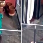 ഫ്ലാറ്റിന്റെ ബാല്‍ക്കണയില്‍നിന്ന് അസഭ്യ വർഷവും നഗ്നതാ പ്രദർശനവും; നടൻ വിനായകൻ്റെ വീഡിയോ സോഷ്യൽ മീഡിയയിൽ വൈറൽ