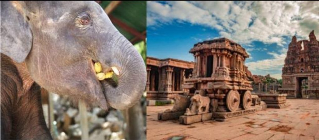 ഹംപി വിരൂപാക്ഷ ക്ഷേത്രത്തിൽ വാഴപ്പഴത്തിന് നിയന്ത്രണം