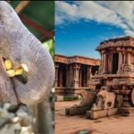 ഹംപി വിരൂപാക്ഷ ക്ഷേത്രത്തിൽ വാഴപ്പഴത്തിന് നിയന്ത്രണം