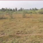 എലപ്പുള്ളിയില്‍ വിശദീകരണവുമായി ഓയസിസ്; ജലക്ഷാമമുണ്ടാകില്ല, ബ്രൂവറിക്ക് ആവശ്യമായ ജലം മഴവെള്ളസംഭരണിയില്‍ നിന്ന്