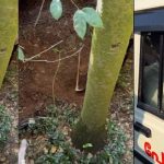 കിണറ്റിൽ നിധിയുണ്ടെന്ന് കരുതി കുഴിച്ചെടുക്കാൻ ശ്രമം; പഞ്ചായത്ത്‌ വൈസ് പ്രസിഡന്റ്‌ അടക്കം കാസറഗോഡ് 5 പേർ പിടിയിൽ