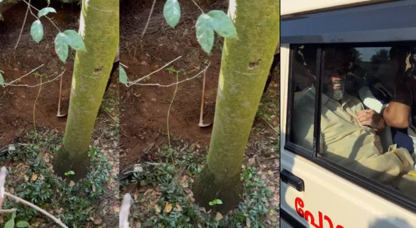 കിണറ്റിൽ നിധിയുണ്ടെന്ന് കരുതി കുഴിച്ചെടുക്കാൻ ശ്രമം; പഞ്ചായത്ത് വൈസ് പ്രസിഡന്റ് അടക്കം കാസറഗോഡ് 5 പേർ പിടിയിൽ