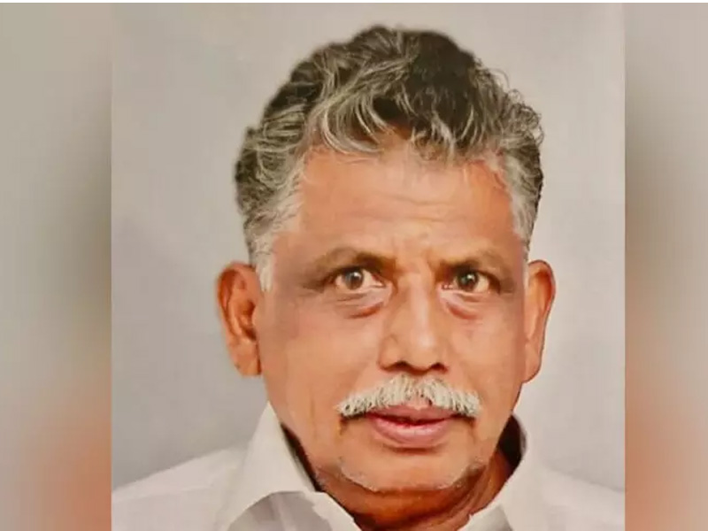 കണ്ണൂരിൽ തേനീച്ചയുടെ കുത്തേറ്റ് ഒരാൾ മരിച്ചു; നിരവധി പേർക്ക് പരുക്കേറ്റു