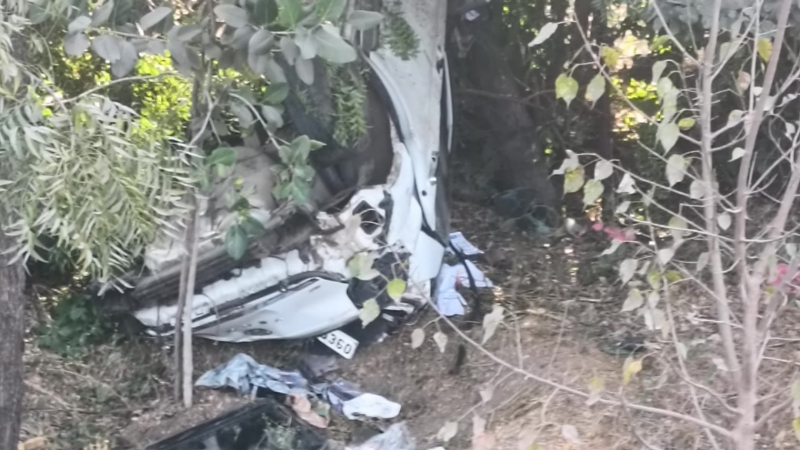 നിയന്ത്രണം വിട്ട കാർ മരത്തിലിടിച്ച് അപകടം; മൂന്ന് പേർ മരിച്ചു