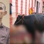 പശുക്കളുടെ അകിട് അറുത്ത സംഭവം; യുവാവ് പിടിയിൽ