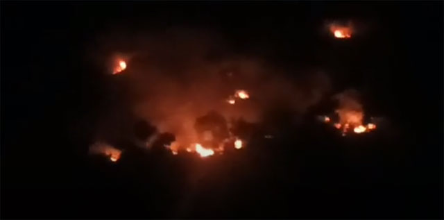 ചാർമാടി പശ്ചിമഘട്ട വനമേഖലയിൽ കാട്ടുതീ; നൂറുകണക്കിന് ഏക്കർ സ്ഥലം നശിച്ചു