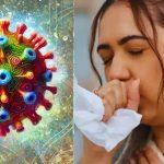 എച്ച്എംപിവി വൈറസ് ഇന്ത്യയിലും; ബെംഗളൂരുവിലെ എട്ടുമാസം പ്രായമുള്ള കുഞ്ഞിന് രോ​ഗം സ്ഥിരീകരിച്ചതായി റിപ്പോര്‍ട്ടുകള്‍