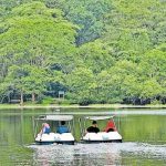 വയനാട് വിനോദസഞ്ചാരത്തെ പ്രോത്സാഹിപ്പിക്കാൻ ബെംഗളൂരു ഉൾപ്പെടെയുള്ള പ്രധാന നഗരങ്ങളിൽ റോഡ് ഷോ