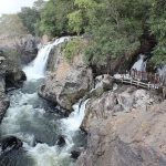 വീരപ്പൻ വിഹരിച്ച കാടുകളിലൂടെ സഫാരി പദ്ധതിയൊരുക്കി വനം വകുപ്പ്