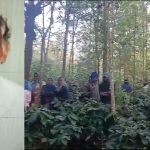 കാട്ടാനയുടെ ആക്രമണത്തിൽ വയോധികൻ മരിച്ചു