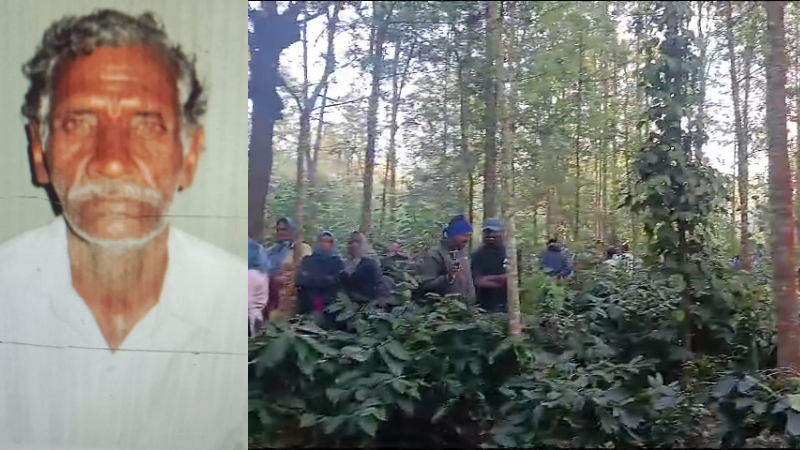 കാട്ടാനയുടെ ആക്രമണത്തിൽ വയോധികൻ മരിച്ചു