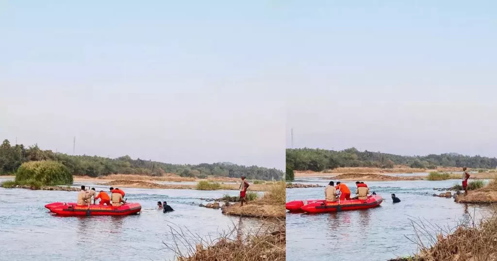 ഭാരതപ്പുഴയിൽ കുളിക്കാനിറങ്ങിയ ഒരു കുടുംബത്തിലെ നാലുപേര്‍ ഒഴുക്കിൽപെട്ടു; 2 മരണം