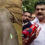 കിണറ്റില്‍ വീണ കാട്ടാനയെ മണ്ണിട്ടു മൂടണമെന്ന വിവാദപ്രസ്താവനയുമായി പി വി അന്‍വര്‍