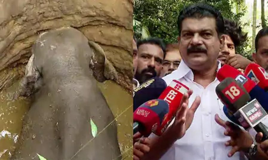 കിണറ്റില് വീണ കാട്ടാനയെ മണ്ണിട്ടു മൂടണമെന്ന വിവാദപ്രസ്താവനയുമായി പി വി അന്വര്