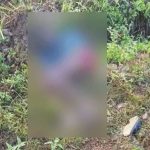 വീണ്ടും ജീവനെടുത്ത് കാട്ടാന; വയനാട് കാട്ടാന ആക്രമണത്തില്‍ യുവാവ് മരിച്ചു