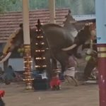 ഉത്സവത്തിനിടെ ആന ഇടഞ്ഞ സംഭവം; മരണം മൂന്നായി