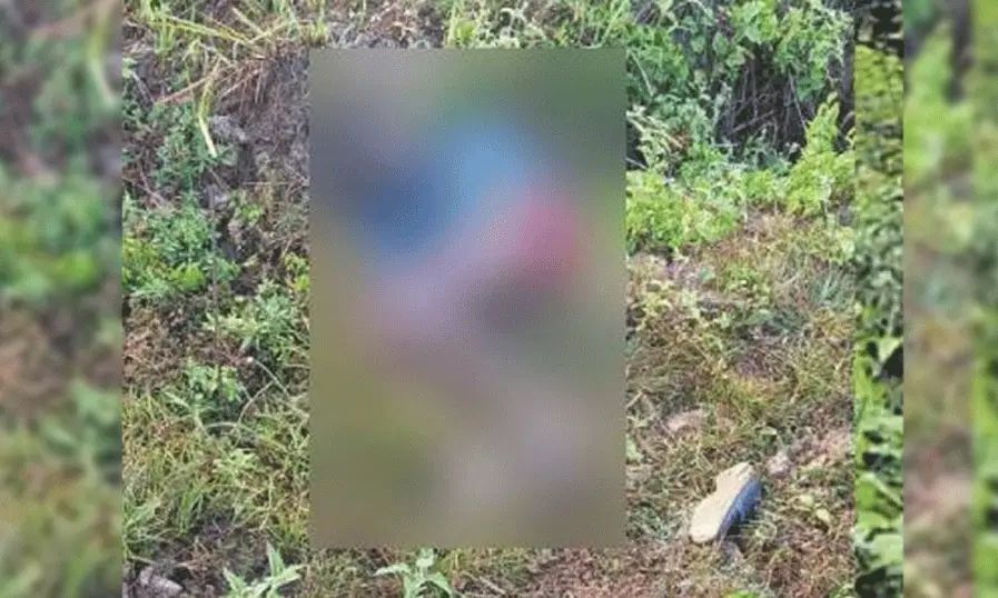 വീണ്ടും ജീവനെടുത്ത് കാട്ടാന; വയനാട് കാട്ടാന ആക്രമണത്തില്‍ യുവാവ് മരിച്ചു