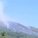 മാനന്തവാടി കമ്പമലയിലെ തീപിടിത്തം; പ്രതി പിടിയില്‍