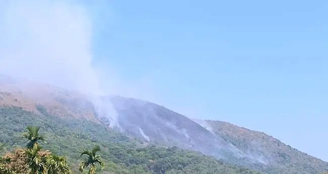 മാനന്തവാടി കമ്പമലയിലെ തീപിടിത്തം; പ്രതി പിടിയില്‍