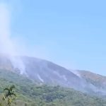 വയനാട് കാട്ടുതീ പടരുന്നു; കമ്പമലയുടെ ഒരു ഭാഗം കത്തിനശിച്ചു