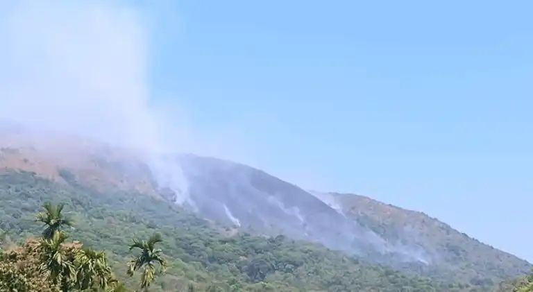 വയനാട് കാട്ടുതീ പടരുന്നു; കമ്പമലയുടെ ഒരു ഭാഗം കത്തിനശിച്ചു