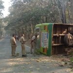കെഎസ്ആർടിസി ബസ് മരത്തിലിടിച്ച് അപകടം; 17 യാത്രക്കാർക്ക് പരുക്ക്