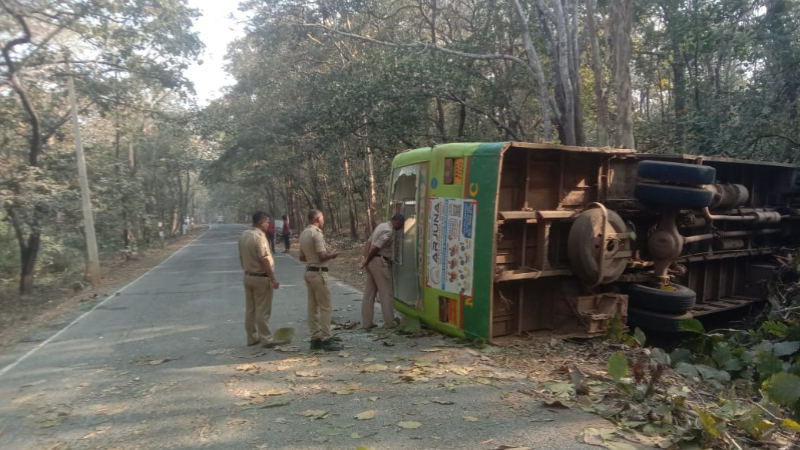 കെഎസ്ആർടിസി ബസ് മരത്തിലിടിച്ച് അപകടം; 17 യാത്രക്കാർക്ക് പരുക്ക്