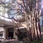 നികുതി വെട്ടിപ്പ്; റിയൽ എസ്റ്റേറ്റ് ഗ്രൂപ്പിന്റെ വിവിധ സ്ഥാപനങ്ങളിൽ ഐടി റെയ്ഡ്