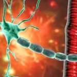 ഗില്ലിൻബാരെ സിൻഡ്രോം; മഹാരാഷ്ട്രയില്‍ നാല് മരണമായി